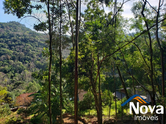 Imagem Imóvel à Venda, 6.862 m² em Vila Olinda - Nova Petrópolis