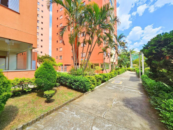 Imagem Apartamento com 3 Quartos à Venda, 72 m² em Piratininga - Osasco Imagem Apartamento com 3 Quartos à Venda, 72 m² em Piratininga - Osasco