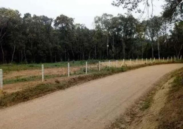 Imagem Imóvel à Venda, 22.000 m² em Areia Branca Dos Assis - Mandirituba Imagem Imóvel à Venda, 22.000 m² em Areia Branca Dos Assis - Mandirituba