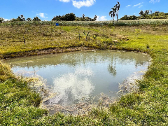 Imagem Chácara com 2 Quartos à Venda, 6 m² em Morungava - Gravataí