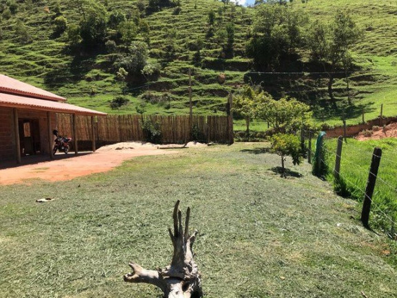 Imagem Fazenda à Venda, 120 m² em Campos De Cunha - Cunha Imagem Fazenda à Venda, 120 m² em Campos De Cunha - Cunha