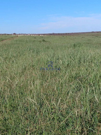 Imagem Fazenda à Venda, 17.799.000 m² em Zona Rural - Baianópolis Imagem Fazenda à Venda, 17.799.000 m² em Zona Rural - Baianópolis