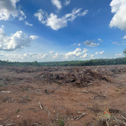 Imagem Terreno à Venda, 20.000 m² Imagem Terreno à Venda, 20.000 m²