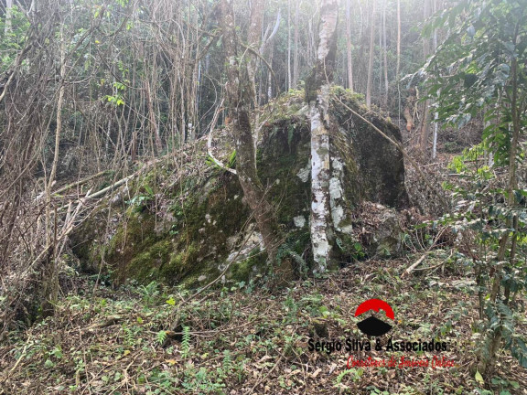 Imagem Terreno à Venda, 8 m² em Bairro Do Centro - Piranguçu Imagem Terreno à Venda, 8 m² em Bairro Do Centro - Piranguçu