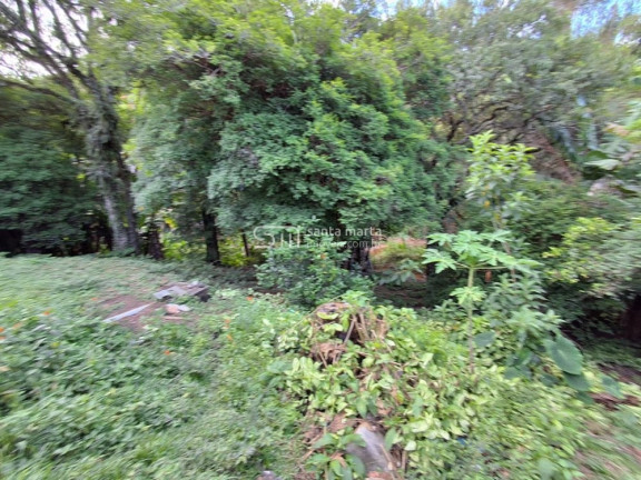 Imagem Imóvel com 4 Quartos à Venda, 215 m² em Bairro Do Ronco - Piquete Imagem Imóvel com 4 Quartos à Venda, 215 m² em Bairro Do Ronco - Piquete