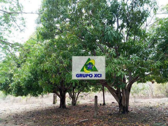 Imagem Fazenda à Venda, 3.870.000 m² em Zona Rural - Bonfinópolis De Minas Imagem Fazenda à Venda, 3.870.000 m² em Zona Rural - Bonfinópolis De Minas