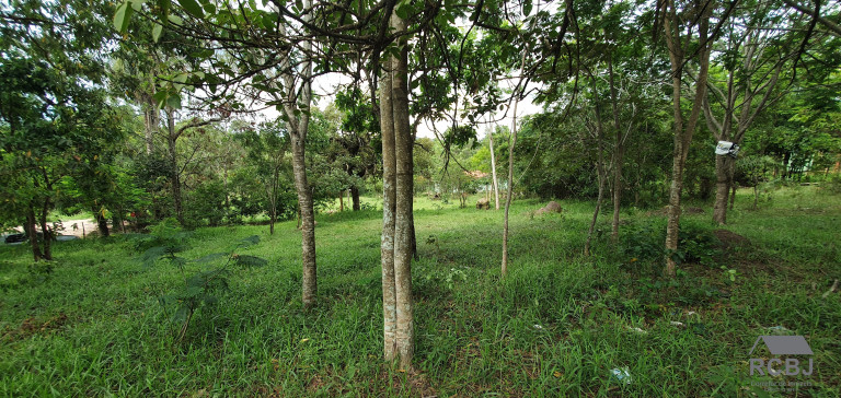Imagem Terreno à Venda, 4.000 m² em Cidade Jardim - Esmeraldas