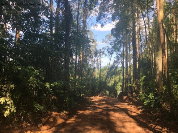 Imagem Terreno à Venda, 3 m² em Linha Olinda - Nova Petrópolis