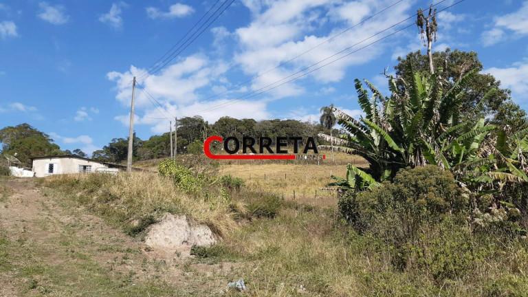 Imagem Terreno à Venda, 500 m² em Vargem Do Salto - Ibiúna Imagem Terreno à Venda, 500 m² em Vargem Do Salto - Ibiúna