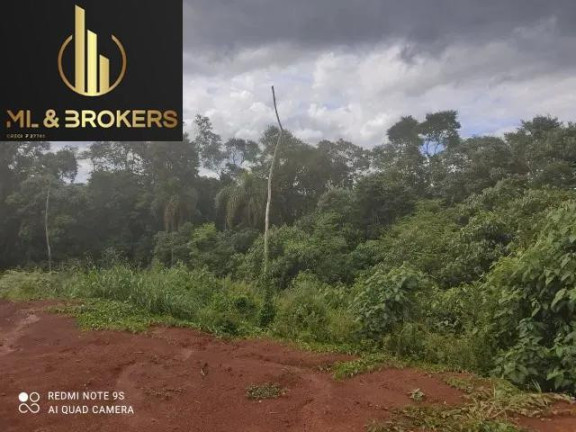 Imagem Imóvel à Venda, 20.000 m² em Sao Silvestre - Campo Largo