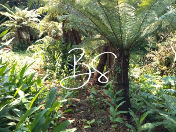 Imagem Imóvel à Venda, 1.000 m² em Serra Grande - Igrejinha