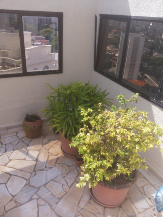 Imagem Apartamento com 3 Quartos à Venda ou Locação, 170 m² em Cambuí - Campinas Imagem Apartamento com 3 Quartos à Venda ou Locação, 170 m² em Cambuí - Campinas