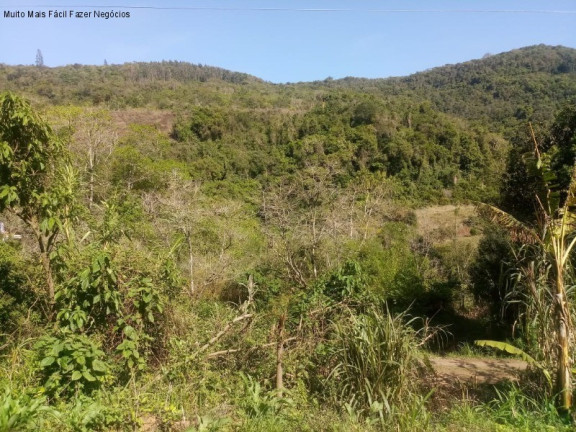 Imagem Terreno à Venda, 7.000 m² em Linha Temerária - Nova Petrópolis