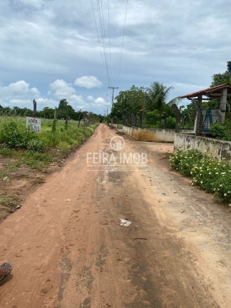 Imagem Terreno à Venda, 10 m² em área Rural De Feira De Santana - Feira De Santana Imagem Terreno à Venda, 10 m² em área Rural De Feira De Santana - Feira De Santana