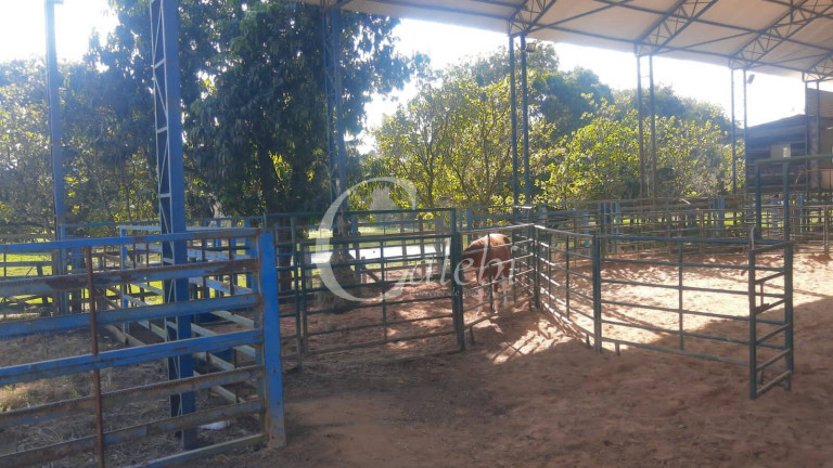 Imagem Chácara com 5 Quartos à Venda, 3 m² em Varginha - Santo Antônio De Posse