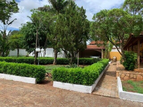 Imagem Chácara com 3 Quartos à Venda, 5.000 m² em Ribeirão Preto Imagem Chácara com 3 Quartos à Venda, 5.000 m² em Ribeirão Preto