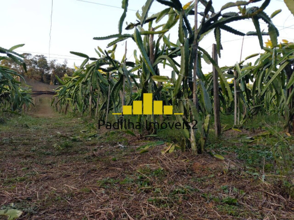 Imagem Chácara à Venda, 2 m² em São Miguel Arcanjo Imagem Chácara à Venda, 2 m² em São Miguel Arcanjo