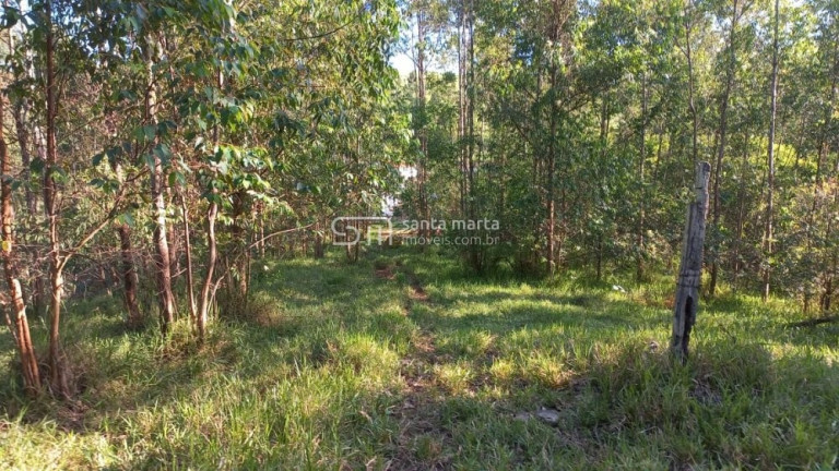Imagem Imóvel com 2 Quartos à Venda, 266.000 m² em Branco - Lavrinhas
