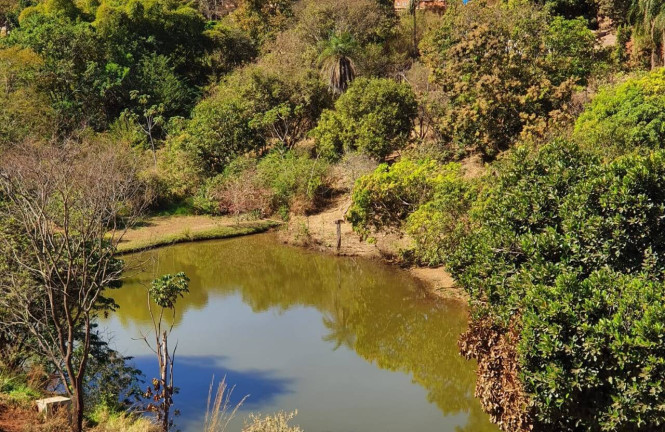 Imagem Chácara com 3 Quartos à Venda, 5.100 m² em Zona Rural - Anápolis