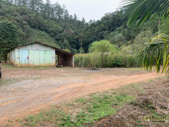 Imagem Chácara com 2 Quartos à Venda, 5.000 m² em Capinzal - Guapiara
