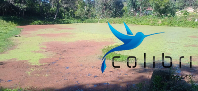 Imagem Chácara com 3 Quartos à Venda, 10.300 m² em Agua Clara - Quitandinha