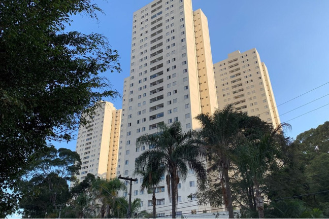 Imagem Apartamento com 3 Quartos à Venda, 73 m² em Vila Amélia - São Paulo