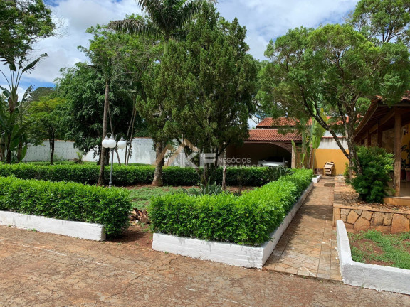 Imagem Imóvel com 3 Quartos à Venda, 5.000 m² em Jardim José Figueira - Ribeirão Preto