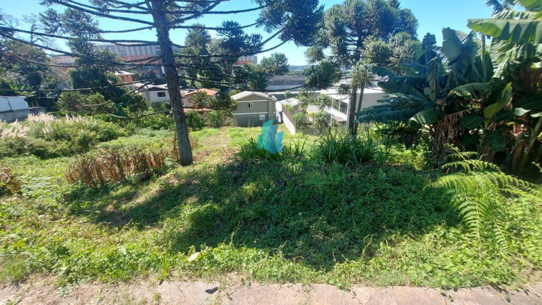 Terreno à Venda, 591 m² em Santo Antão - Bento Gonçalves