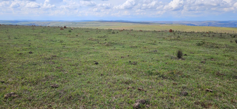 Imagem Imóvel à Venda, em Serra Da Canastra - Delfinópolis Imagem Imóvel à Venda, em Serra Da Canastra - Delfinópolis