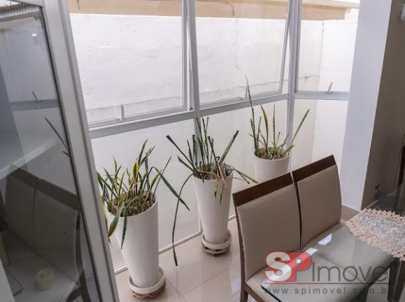 Imagem Casa com 3 Quartos à Venda, 260 m² em Jardim São Caetano - São Caetano Do Sul Imagem Casa com 3 Quartos à Venda, 260 m² em Jardim São Caetano - São Caetano Do Sul