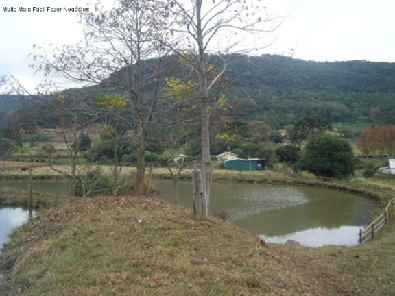 Imagem Imóvel com 7 Quartos à Venda, 5 m² em Linha Imperial - Nova Petrópolis Imagem Imóvel com 7 Quartos à Venda, 5 m² em Linha Imperial - Nova Petrópolis