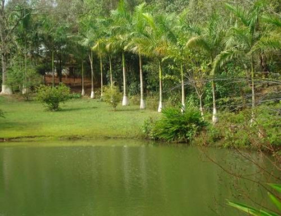 Imagem Imóvel com 5 Quartos à Venda, 300 m² em Fazenda Velha - Cesário Lange
