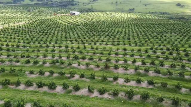 Imagem Fazenda à Venda, 121 m² em Rio Pardo - águas De Santa Bárbara