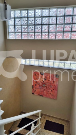 Imagem Casa com 3 Quartos à Venda, 231 m² em Vila Isolina Mazzei - São Paulo Imagem Casa com 3 Quartos à Venda, 231 m² em Vila Isolina Mazzei - São Paulo