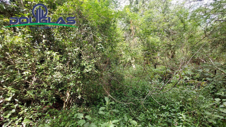 Imagem Chácara à Venda, 20.000 m² em águas Claras - Viamão Imagem Chácara à Venda, 20.000 m² em águas Claras - Viamão