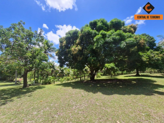 Imagem Imóvel com 2 Quartos à Venda, 466 m² em Jorrinho - Camaçari Imagem Imóvel com 2 Quartos à Venda, 466 m² em Jorrinho - Camaçari