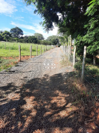 Imagem Imóvel à Venda, 48.000 m² em Ponte De Tábua - Artur Nogueira Imagem Imóvel à Venda, 48.000 m² em Ponte De Tábua - Artur Nogueira