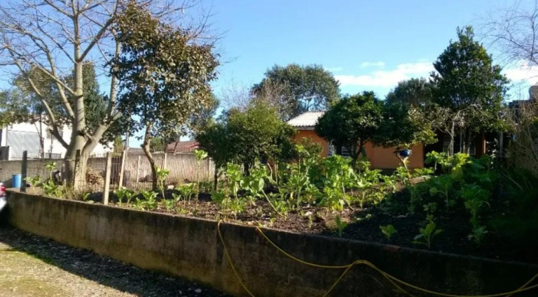 Imagem Terreno à Venda, 440 m² em Mauá - Colombo