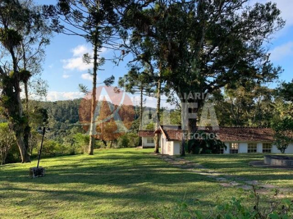 Imagem Casa com 4 Quartos à Venda, 40.000 m² em Loteamento Vale Florido - Embu Guaçu Imagem Casa com 4 Quartos à Venda, 40.000 m² em Loteamento Vale Florido - Embu Guaçu