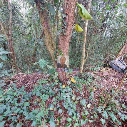 Imagem Terreno à Venda, 400 m² em Jardim Atalaia - Cotia Imagem Terreno à Venda, 400 m² em Jardim Atalaia - Cotia