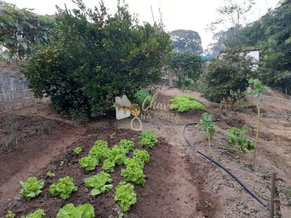 Imagem Chácara com 3 Quartos à Venda, 4.400 m² em Itororó - Embu-guaçu Imagem Chácara com 3 Quartos à Venda, 4.400 m² em Itororó - Embu-guaçu