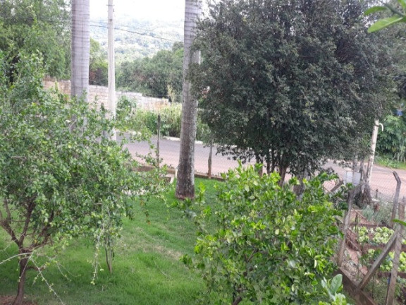 Imagem Imóvel com 3 Quartos à Venda, 500 m² em Chácaras Santo Antonio Do Jardim - Jaguariúna Imagem Imóvel com 3 Quartos à Venda, 500 m² em Chácaras Santo Antonio Do Jardim - Jaguariúna