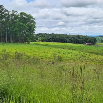 Imagem Chácara à Venda, 4 m² em Rural - Angatuba Imagem Chácara à Venda, 4 m² em Rural - Angatuba