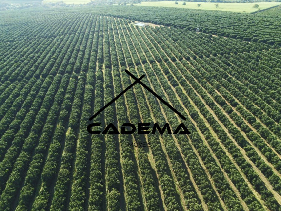 Fazenda à Venda, 300 m² em Area Rural - Lins
