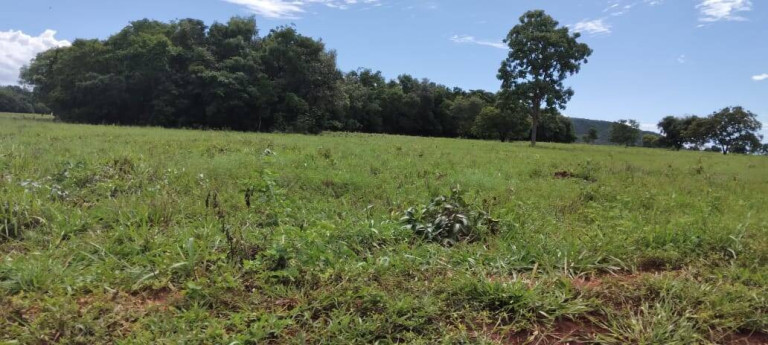 Imagem Fazenda à Venda, 121 m² em Zona Rural - Montes Claros De Goiás