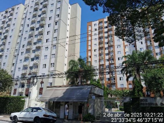 Imagem Apartamento com 2 Quartos à Venda, 47 m² em Cambuci - Sao Paulo Imagem Apartamento com 2 Quartos à Venda, 47 m² em Cambuci - Sao Paulo