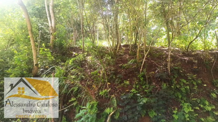 Imagem Terreno à Venda, 1.570 m² em Parque Dom João Vi - Nova Friburgo