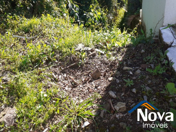 Imagem Imóvel à Venda, 360 m² em Logradouro - Nova Petrópolis Imagem Imóvel à Venda, 360 m² em Logradouro - Nova Petrópolis