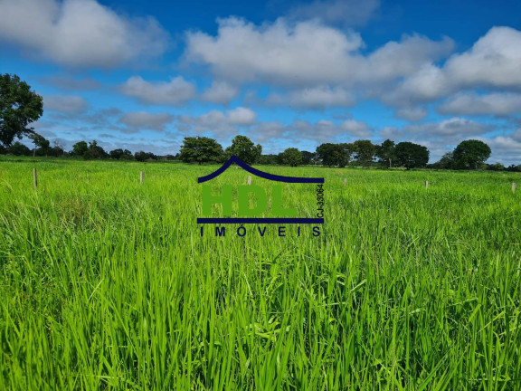 Fazenda à Venda, 110 m² em Cocalinho