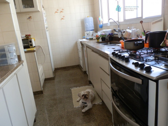 Imagem Apartamento com 3 Quartos para Alugar, 160 m² em Paraíso - São Paulo